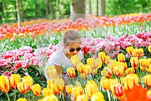 Beauriful dutch girl smelling tulip flower on tulip fields. Child in tulip flower field in Holland. Kid in magical Netherlands