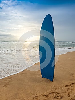 Beautfiul photo of blue surboard standing on the sandy ocean beach at sunset