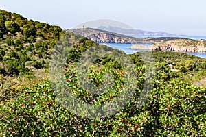 Beautful coastal landscape in Teulada Sardinia, Italy