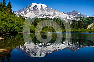 Beautful Reflection of Mt Rainier from Bench Lake, Mt Rainier National Park, Washington