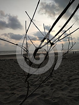 Beauti of nature : Beach