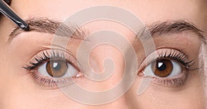 Beautician applying tint during eyebrows correction procedure on white background, closeup