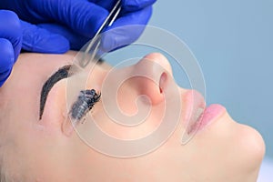 Beautician plucking eyebrows with tweezers to woman beauty procedure, side view. photo