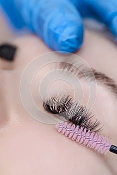 Beautician Tattooing Woman\'s Eyebrows Using Special Equipment During Process of Permanent Make-up Tidying Up Using Brush