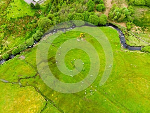 Beautidul landscape of the Killarney National Park on cloudy day