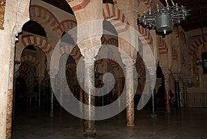 The beautiful columns of the Cordoba mezquita an ancient Muslim temple photo