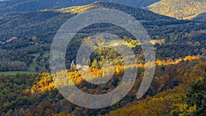 Beautifal autumn beech forest en mountain Montseny in Spain