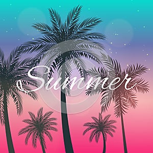 Beautifil Palm Tree Leaf  Silhouette Hello Summer Background Vector Illustration