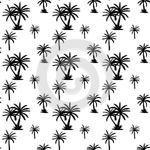 Beautifil Palm Tree Leaf Silhouette Seamless Pattern Background Vector Illustration