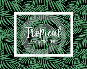 Beautifil Palm Tree Leaf Silhouette Seamless Pattern Background Vector Illustration