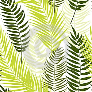 Beautifil Palm Tree Leaf Silhouette Seamless Pattern Background