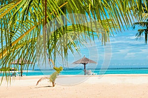 Beautifuk sandy beach with palm trees and palm tree umbrellas