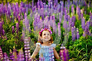 A beautiful 5-year-old girl in a field with lupines throws flowers in the air. A meadow with purple flowers and a little girl with