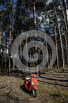 Beautiful abandoned red scooter alone in the middle of nowhere in forest