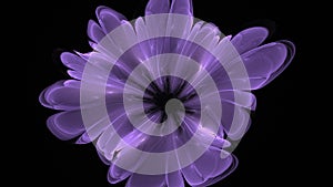 Beautiful abstract 3d colored flower, glowing flower petals on a black background. 3d render