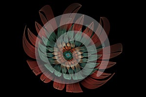 Beautiful abstract 3d colored flower, glowing flower petals on a black background. 3d render