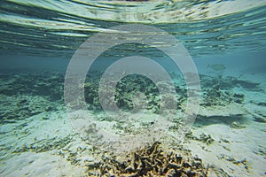 Beautiful abstract background texture of underwater view of white sand bottom and blue water. Snorkeling, Maldives,