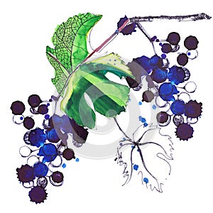 Beautiful abstract bright pattern of grapes and leaves made with watercolors and pen