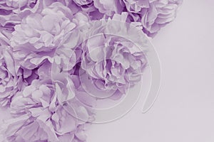 Beautiful abstract color purple and blue flowers on white background and light purple flower frame and purple leaves texture, purp