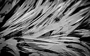 Beautiful abstract colorful gray and black feathers on dark background and soft gray feather texture on black pattern and darkness