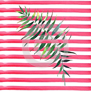 Beautiful abstract green tropical cute lovely wonderful hawaii floral herbal summer pattern of a palms on red lines background wat