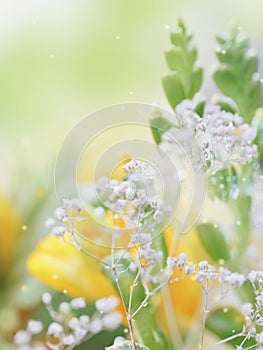 Beautiful abstract light and blurred soft background with flower