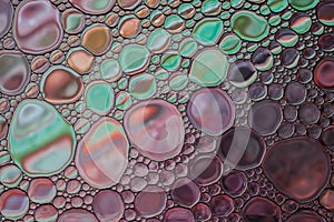 Beautiful abstract multicolor water oil bubble multicolor background