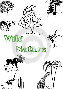 Beautiful abstract wildlife illustration with various trees and mammals