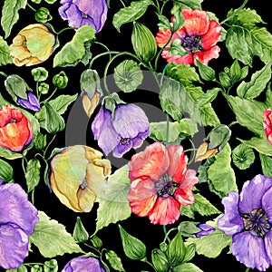 Beautiful abutilon flowers on climbing twigs on black background. Seamless floral pattern. Watercolor painting.