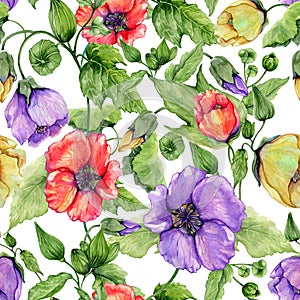 Beautiful abutilon flowers on climbing twigs on white background. Seamless floral pattern. Watercolor painting.