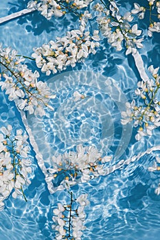 Beautiful acacia flowers in blue transparent water with white frame. Summer floral composition with sun and shadows. Nature