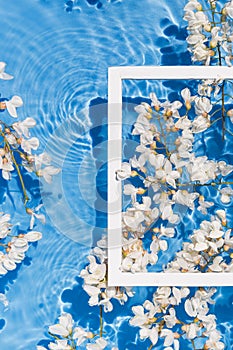 Beautiful acacia flowers in blue transparent water with white frame. Summer floral composition with sun and shadows. Nature