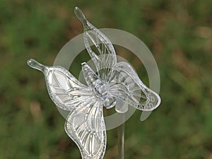 A Beautiful Acrylic Butterfly For Gardens