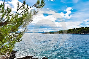 Beautiful Adriatic sea in Croatia. Green pine  rocks  blue water  sunny weather