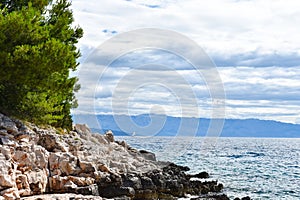 Beautiful Adriatic sea in Croatia. Green pine  rocks  blue water  sunny weather