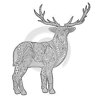 Adult coloring book page with stylized deer