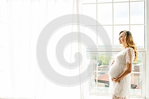 Beautiful adult pregnant woman. Waiting for the baby. Pregnancy. Care, tenderness, motherhood, childbirth.