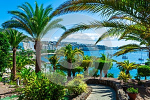 Anfi del Mar resort surrounded by palm trees on the coast of Atlantic Ocean photo