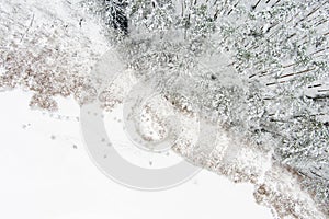 Beautiful aerial top-down view of snow covered pine forests and a forest stream winding among trees. Rime ice and hoar frost