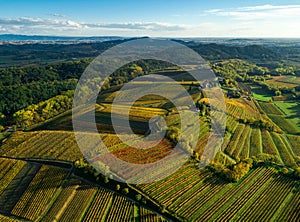 Beautiful aerial view of the green fields and blue sky.