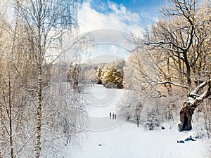 Beautiful aerial view of snow covered pine forests. Rime ice and hoar frost covering trees. Scenic winter landscape in Vilnius,