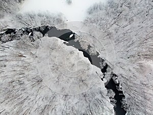 Beautiful aerial view of snow covered pine forests and a river winding among trees. Rime ice and hoar frost covering trees. Winter