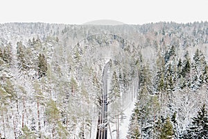 Beautiful aerial view of snow covered pine forests and a road winding among trees. Rime ice and hoar frost covering trees