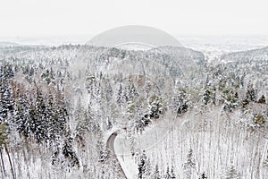 Beautiful aerial view of snow covered pine forests and a road winding among trees. Rime ice and hoar frost covering trees