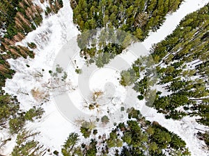 Beautiful aerial view of snow covered pine forests and a road winding among trees. Rime ice and hoar frost covering trees. Scenic