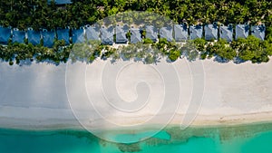 Beautiful aerial view of the tropical island beach with palm trees near ocean