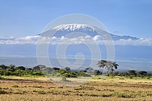 Beautiful African landscape on background of Kilimanjaro. Kenya. Africa. beautiful view of the African savanna and
