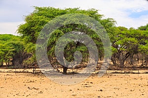 Beautiful african landscape, Waterberg Plateau National Park, Namibia