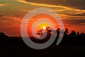 Beautiful african sunrise over savannah in Serengeti National Park, Tanzania