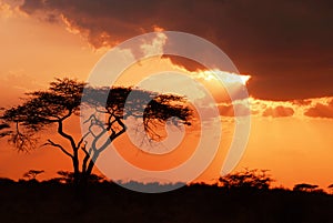 Beautiful african sunset